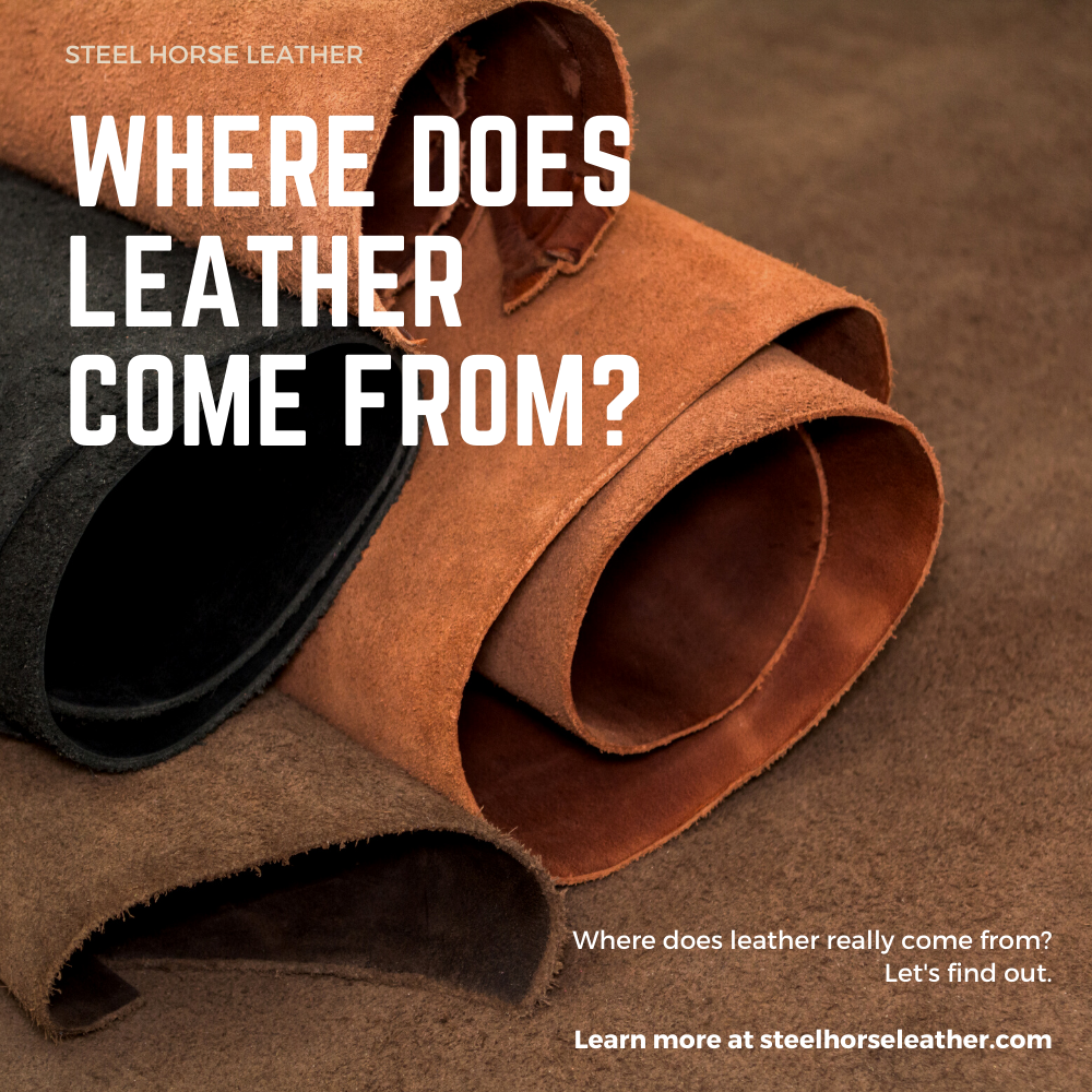 Where Does Leather Come from?