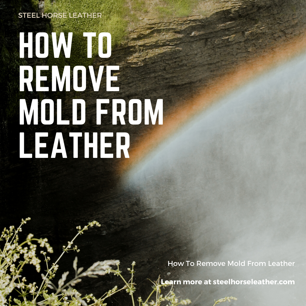 How To Remove Mold From Leather